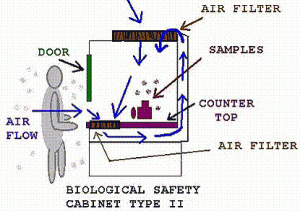 Fume Hood